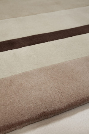 2 RD Braque von Amini