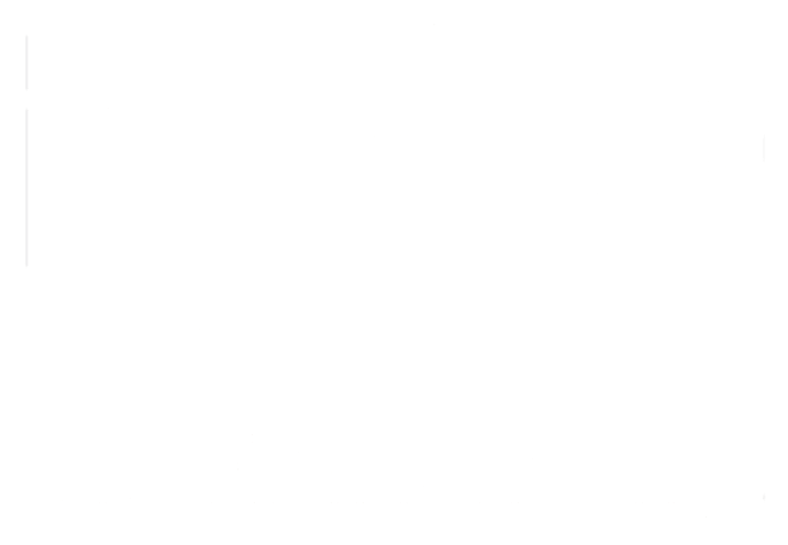 logo ip20
