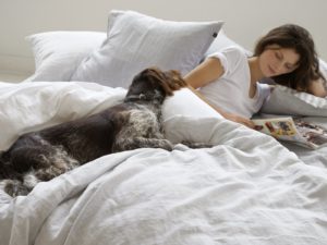 Bettwäsche Christian Fischbacher Stimmungsbild mit lesender Frau und Hund